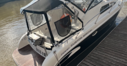 Custon 29 Special (2015)
