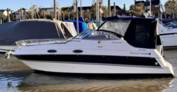 Fourwinns Vista 258 (1995)