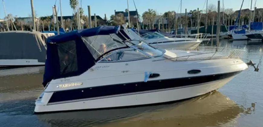 Fourwinns Vista 258 (1995)
