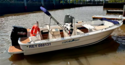 Regnicoli Marea 630 (2019)