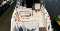 Bayliner Ciera 2355 Americana (1997)