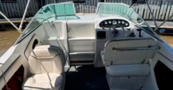 Canestrari 215 V8 (2011)