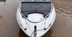 Quicksilver 2400 (2015)