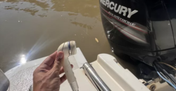 Quicksilver 1800 (2013)