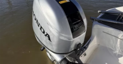 Piccini 160 S (2023)