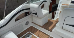 Quicksilver 268 (2013)
