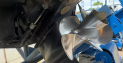 Quicksilver 268 (2013)
