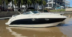 Canestrari 275 (2018)