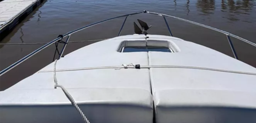Canestrari 275 (2018)