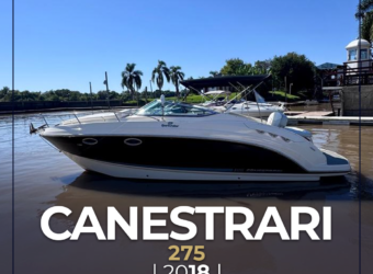 Canestrari 275 (2018)