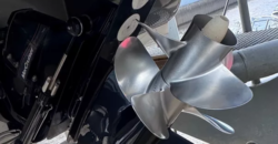 Canestrari 245 (2020)