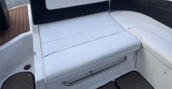 Quicksilver 2400 (2015)