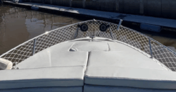 Chaparral 275 Americana (2010)