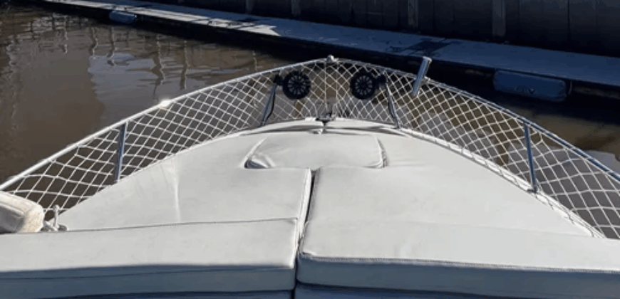 Chaparral 275 Americana (2010)