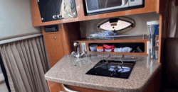 Chaparral 275 Americana (2010)