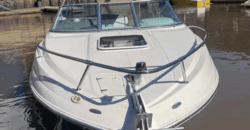 Canestrari 245 (2015)
