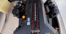 Canestrari 245 (2015)