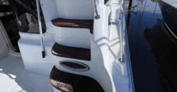 Cantieri 365 (2008)