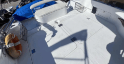 Cantieri 365 (2008)