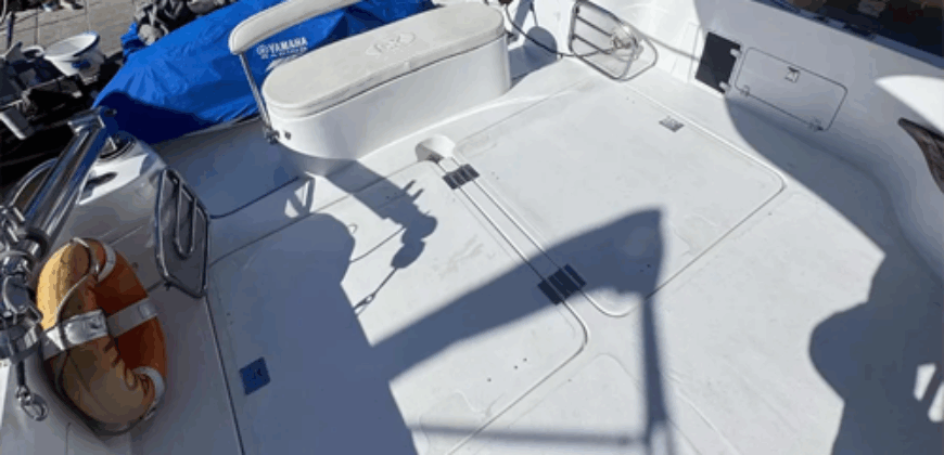 Cantieri 365 (2008)