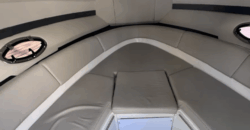 Quest 225 (2016)