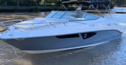 Canestrari 245 (2020)