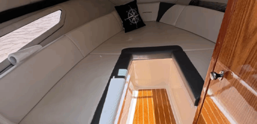 Canestrari 245 (2020)
