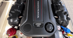 Canestrari 245 (2020)