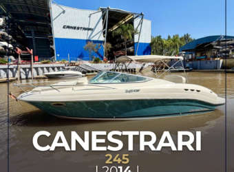 Canestrari 245 (2014)