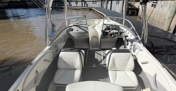 Bayliner 185 (2010)