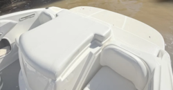 Bayliner 185 (2010)