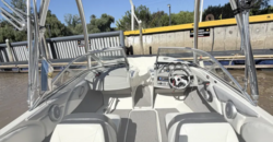 Bayliner 185 (2010)