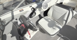 Bayliner 185 (2010)