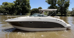 Canestrari 275 (2023)