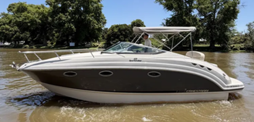 Canestrari 275 (2023)