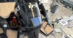 Piccini 229 S (2021)