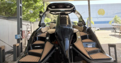 Piccini 229 S (2021)