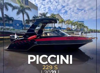 Piccini 229 S (2021)