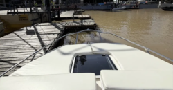 Canestrari 225 (2023)