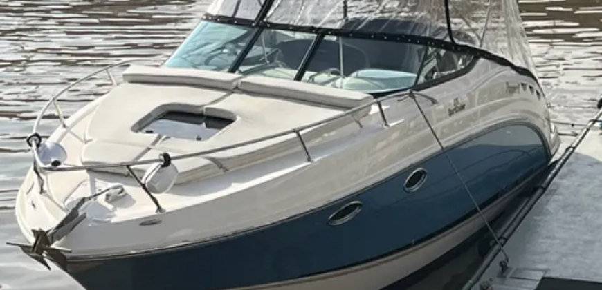Canestrari 275 (2023)