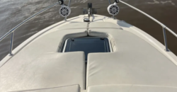 Canestrari 275 (2023)