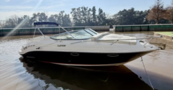 Canestrari 245 (2015)
