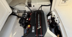 Canestrari 245 (2015)