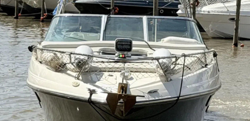 Canestrari 245 (2020)