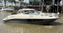 Canestrari 245 (2020)