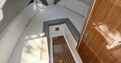 Canestrari 245 (2020)