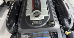 Canestrari 245 (2020)