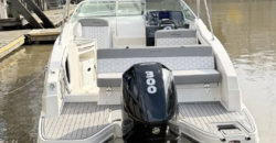 Canestrari 245 (2024)