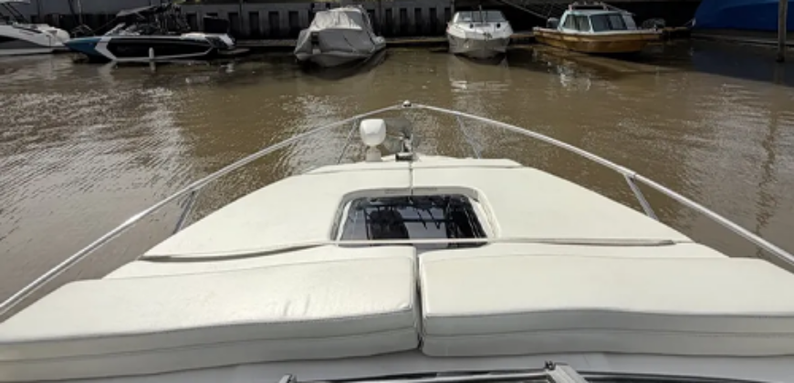 Canestrari 245 (2024)